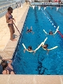 Voir la photo agrandie